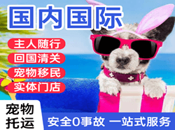 大庆萨尔图机场空运国际宠物托运 【国